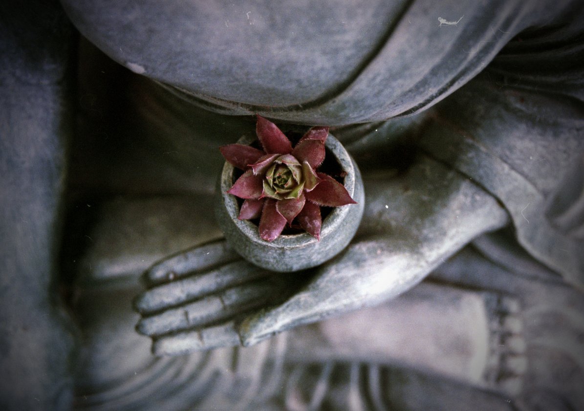 Buddha Meditation Statue